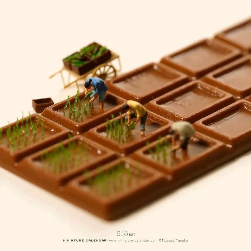 Miniatúrne figúrky pracujú na poliach z čokolády s rastlinkami.