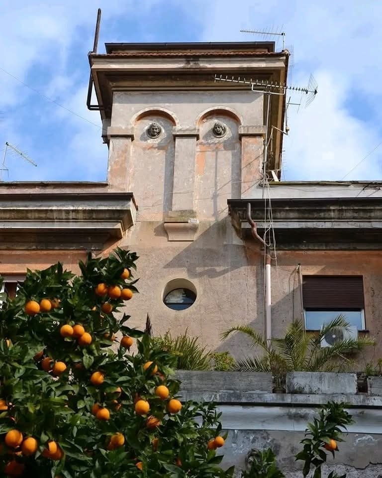 Stará budova so zdobenou fasádou, pripomínajúcou tvár, s pomarančovníkom v popredí pod modrou oblohou.