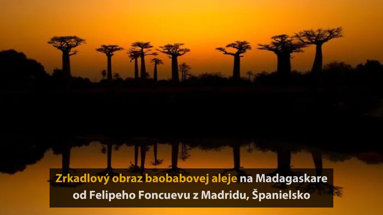 6 neuveriteľných fotografií prírody od finalistov NBP – Nature’s best photography, 2025, 2.časť