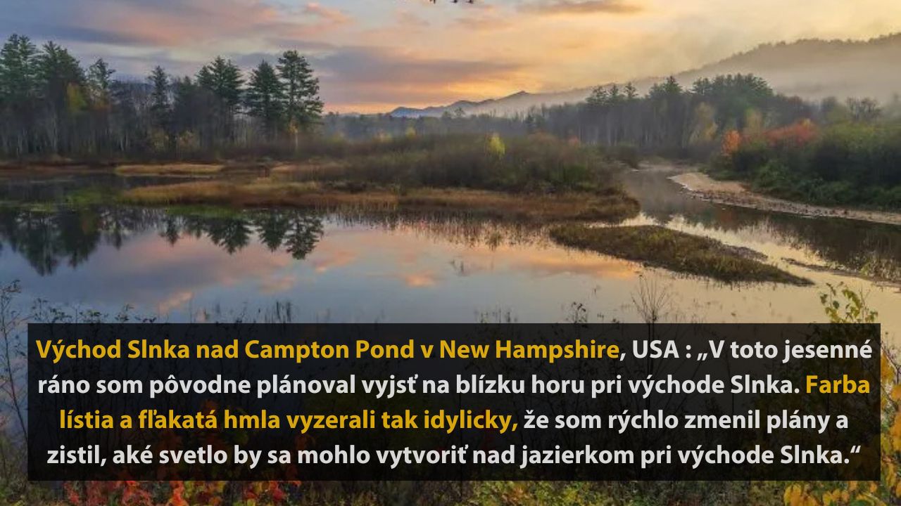 6 neuveriteľných fotografií prírody od finalistov NBP – Nature’s best photography, 2025, 1.časť