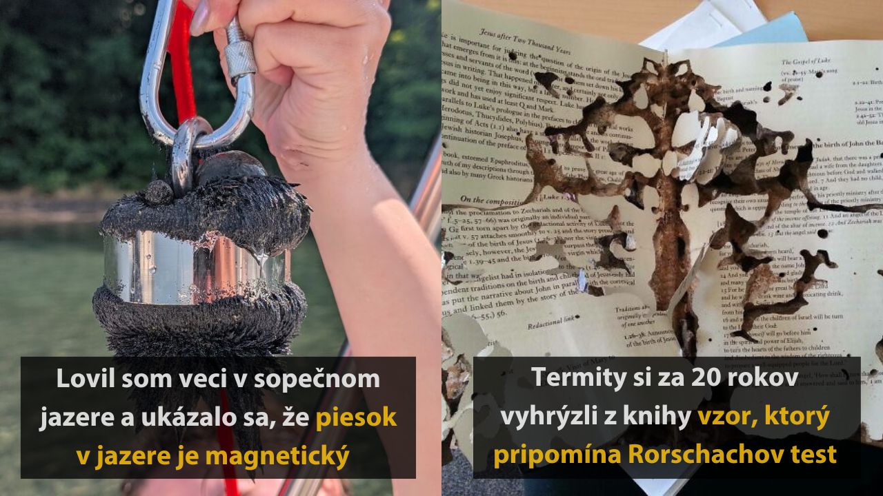 Náhodné fotografie zo sveta, ktoré zachytávajú vzácne a zaujímavé momenty, 5.časť