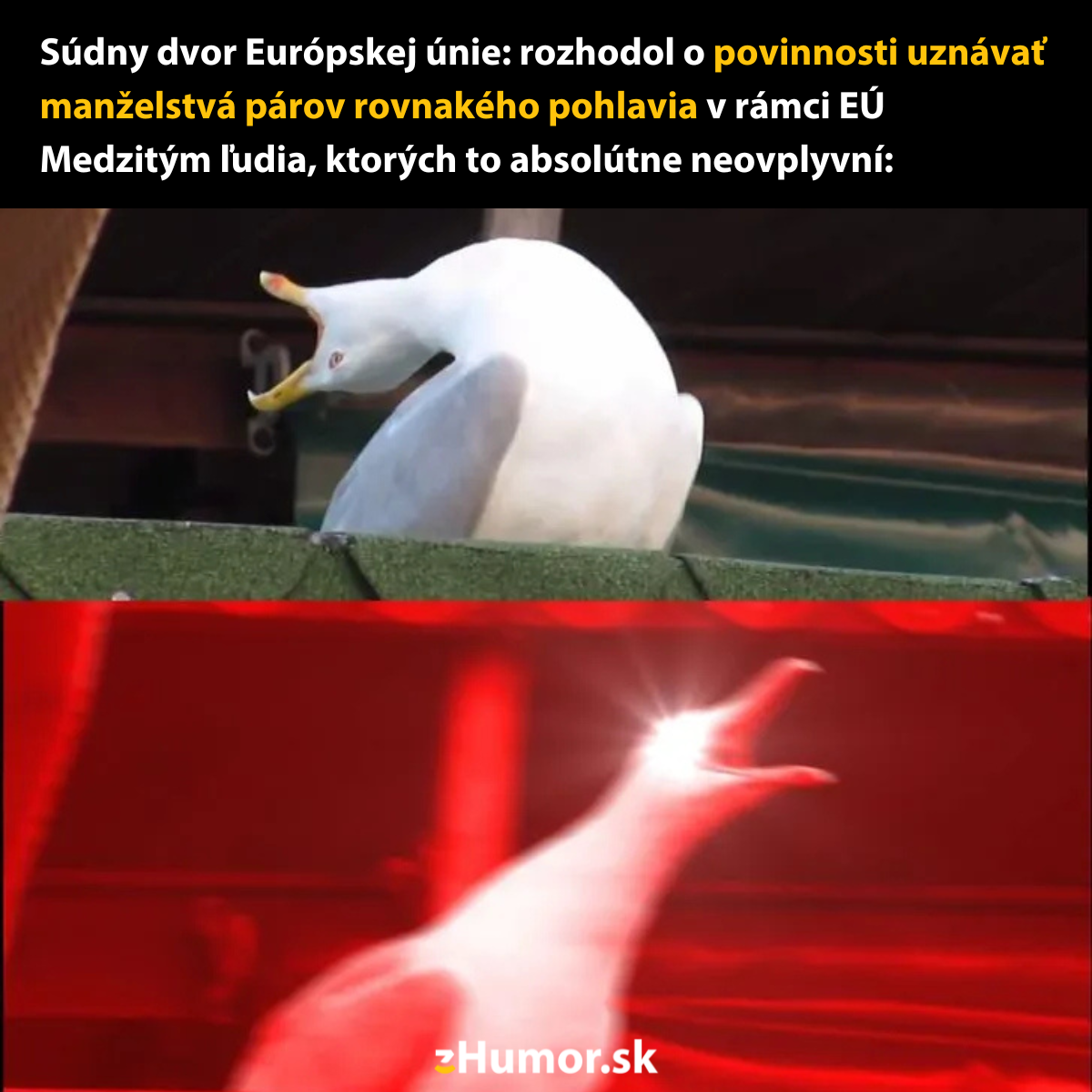 Rozhodnutie Súdneho dvora