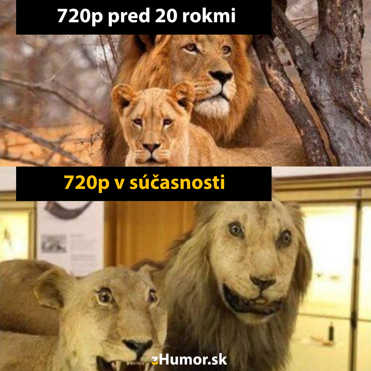 Rozlíšenie niekedy a teraz