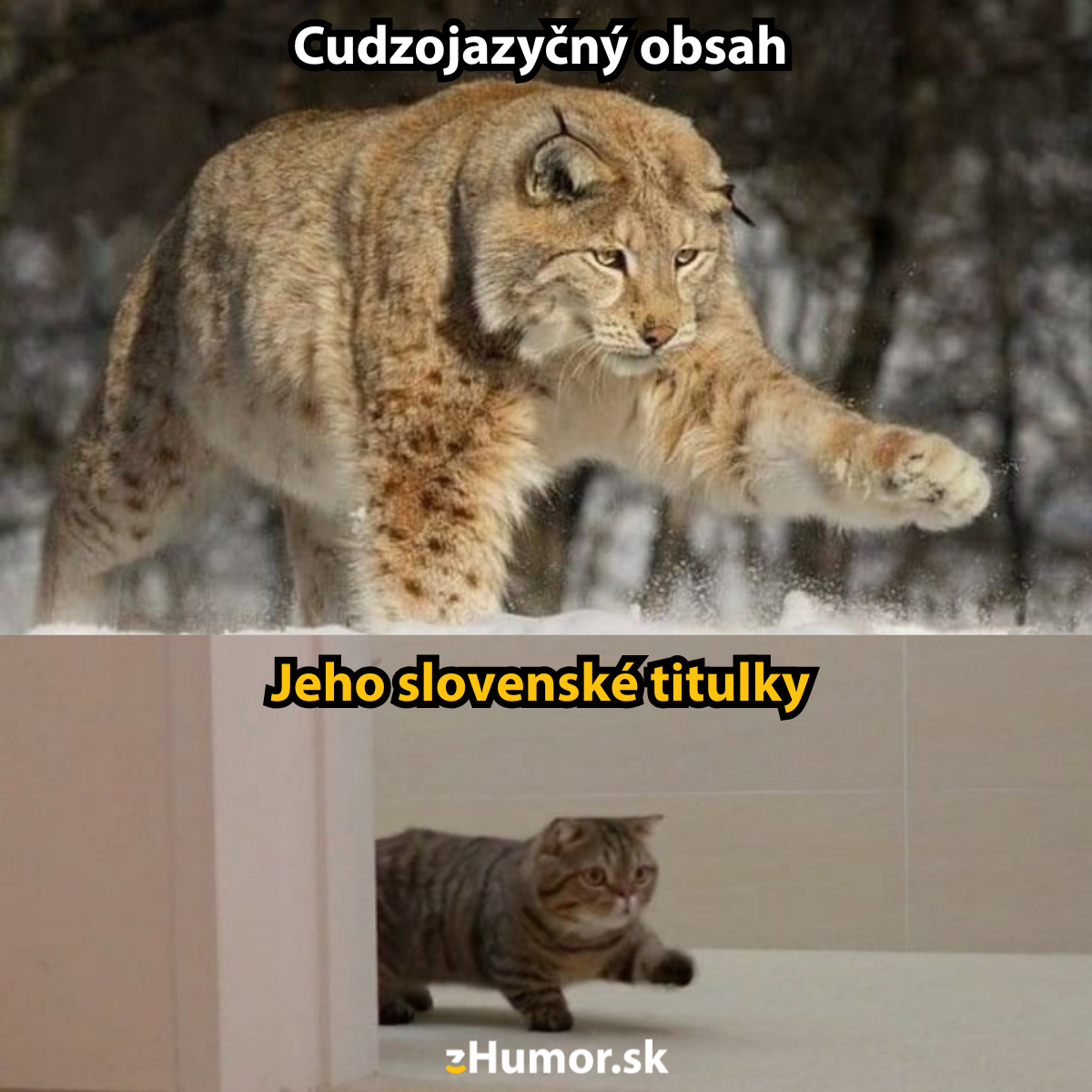 Cudzojazyčný obsah a slovenské titulky