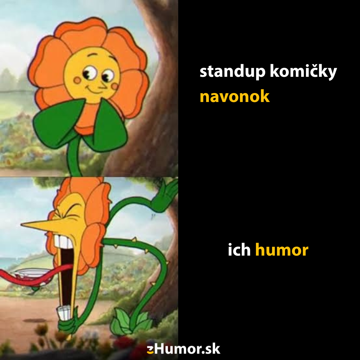 Kontrast medzi výzorom a humorom
