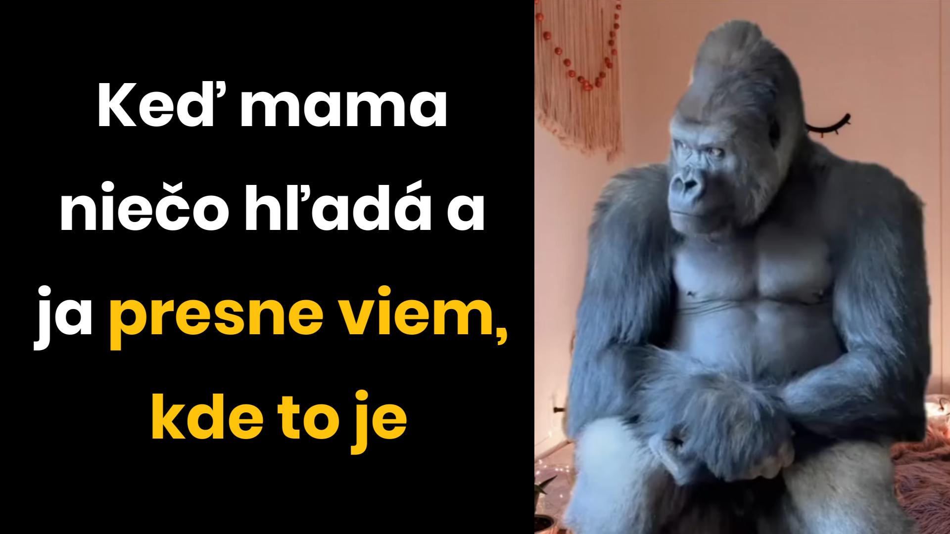 Video memes pre dnešný deň #2 – Pomsta je sladká a rodičovstvo vie byť pekne náročné