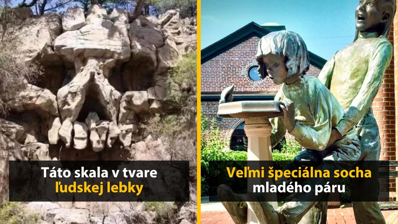 30+ Obrázkov, ktorými dokonale zabiješ čas #645 – Terminátor na dôchodku alebo batoh s výrazom tváre