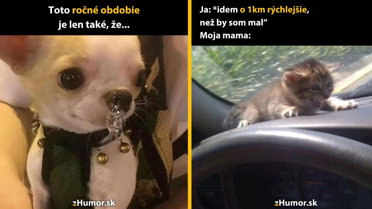 Zopár memes, ktoré vznikli, aby ti spríjemnili deň #1634: Už nech sa to celé skončí.