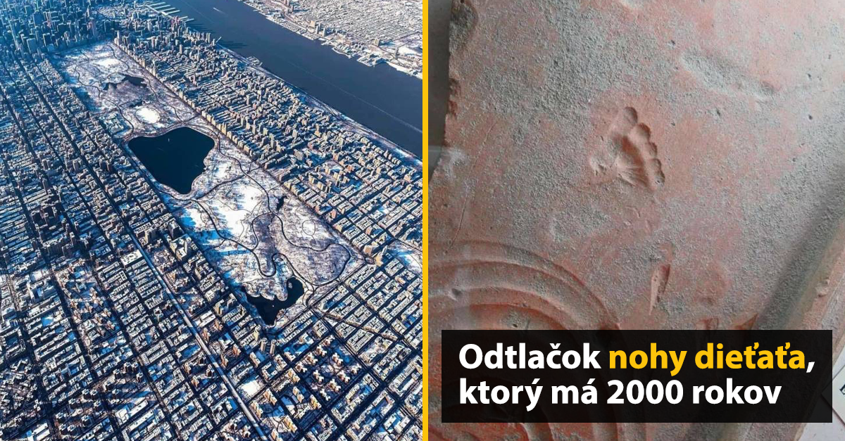 15 fascinujúcich obrázkov, ktoré vás naučia niečo nové