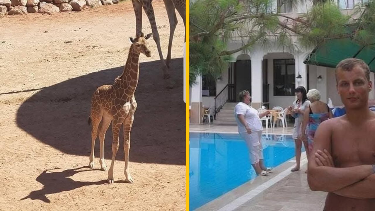 15 vtipných nedeľných fotiek, ktoré vznikli v ten najsprávnejší moment