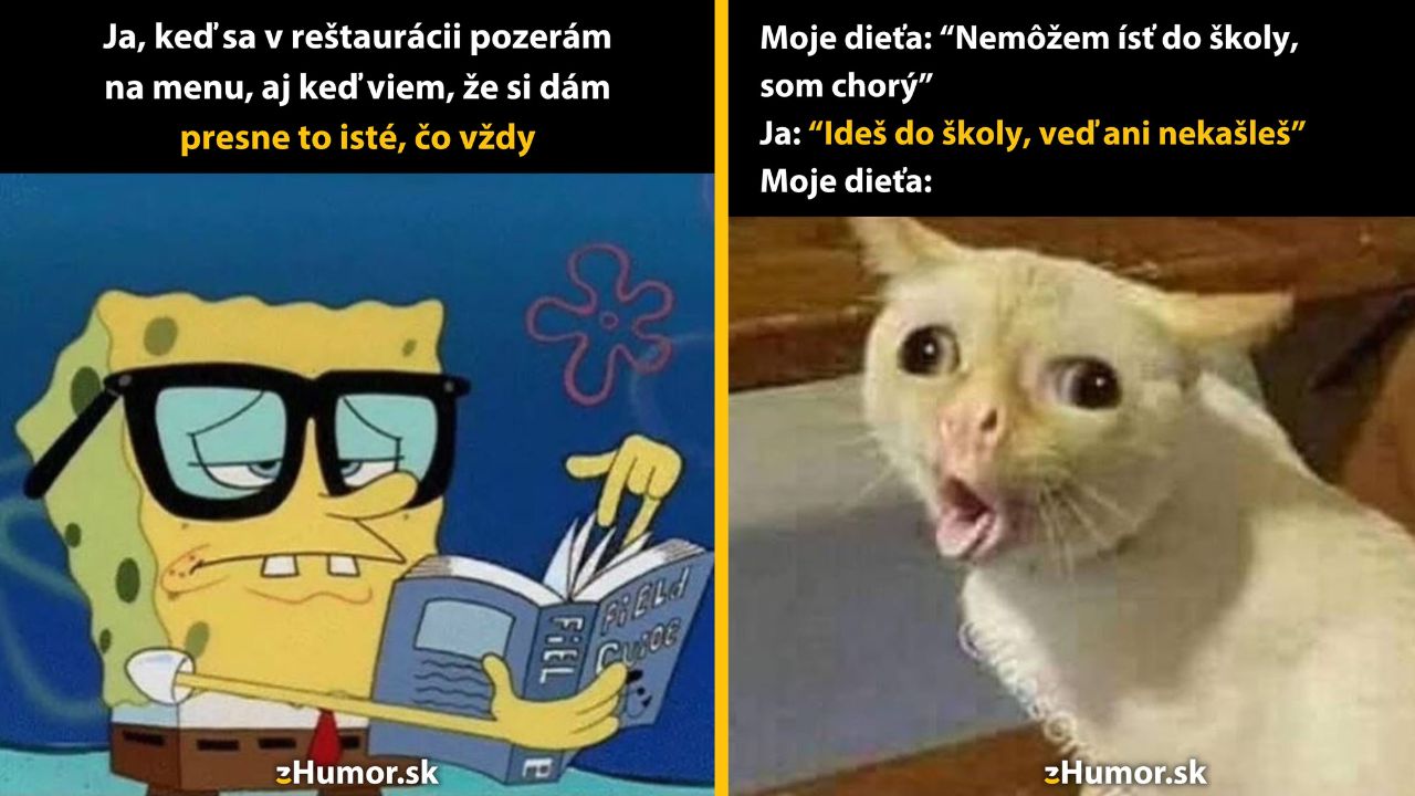 Zopár memes, ktoré vznikli, aby ti spríjemnili deň #1626: Syr, hranolky a tatarka. Nebudem nič riskovať.