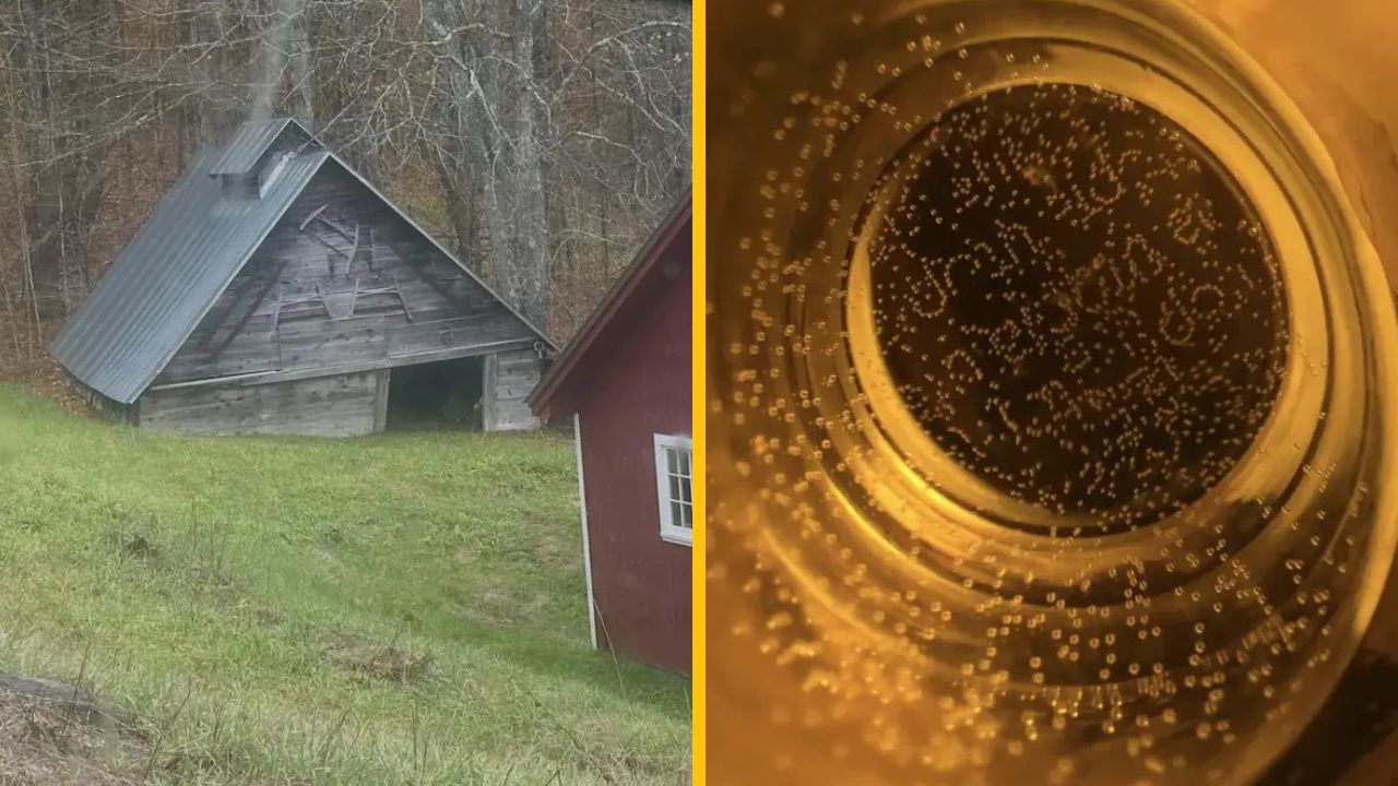15 fotografií z bežného života, pri ktorých nebudete veriť vlastným očiam