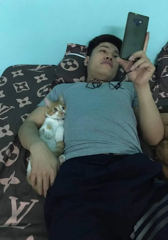 Muž leží na posteli s mačkou, pozerá do mobilu, obklopený pohodlím a relaxáciou.