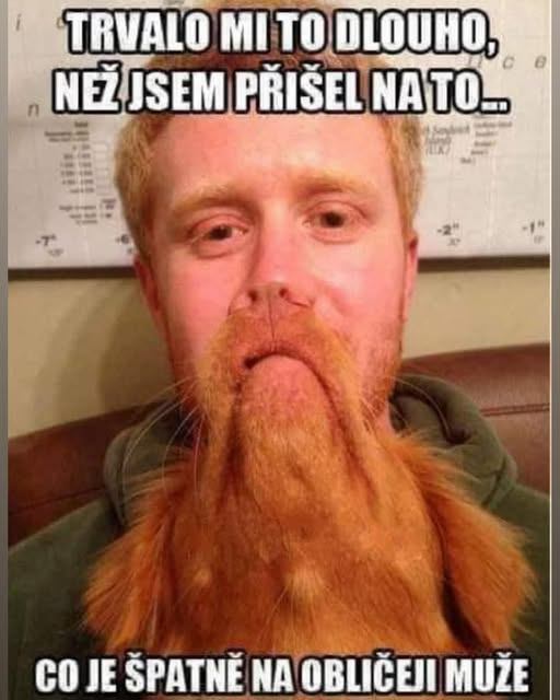 Osoba s tvárou zakrytou psom, pričom to vyzerá ako veľké fúzy, zábavný moment s nápisom o odhalení vtipu.