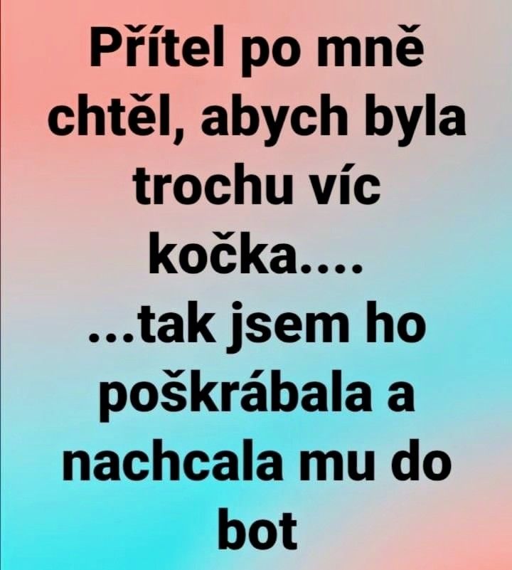 Vtipný text o tom, ako niekto zareagoval na prianie byť viac ako mačka humorným spôsobom.