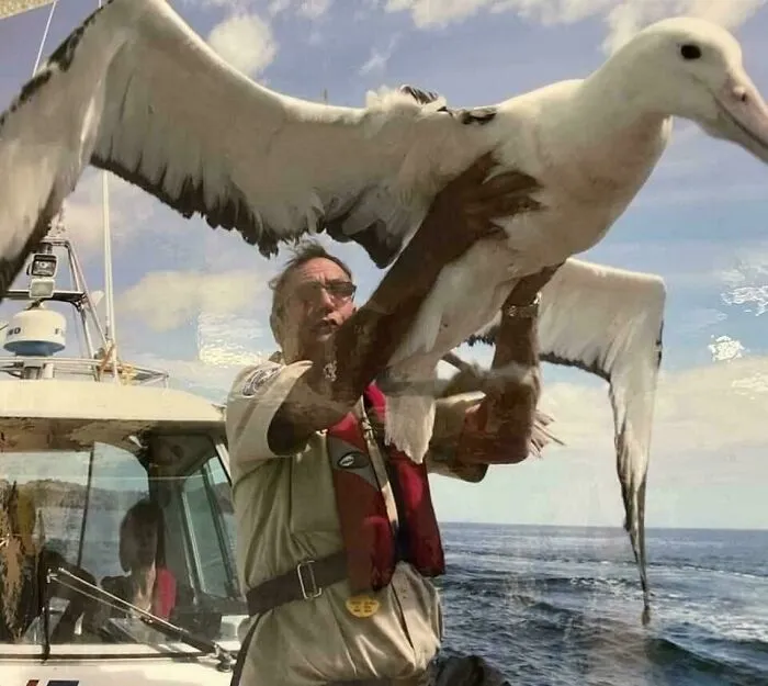 Muž na lodi drží veľkého albatrosa s rozprestretými krídlami nad morom.