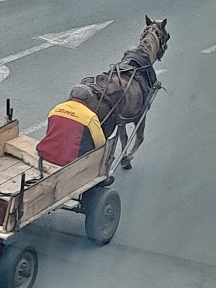 Koňská povožka s červenou taškou na ceste, moderné doručovanie s tradičným prvkom.