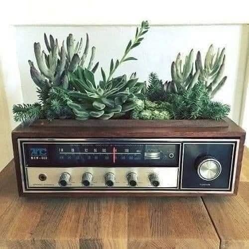 Starý rádio prijímač sadučulentmi na vrchu, slúži ako unikátna dekorácia na drevenom stole.