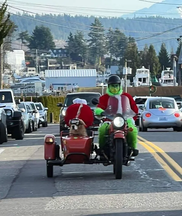 Zelená postava na motorke s červeným postranným vozíkom, kde sedí pes v čiapke. Scéna na ulici s autami.