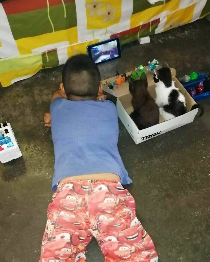 Dieťa a mačiatka pozerajú video na tablete, pohodlne ležia na zemi pri kartónovej krabici.