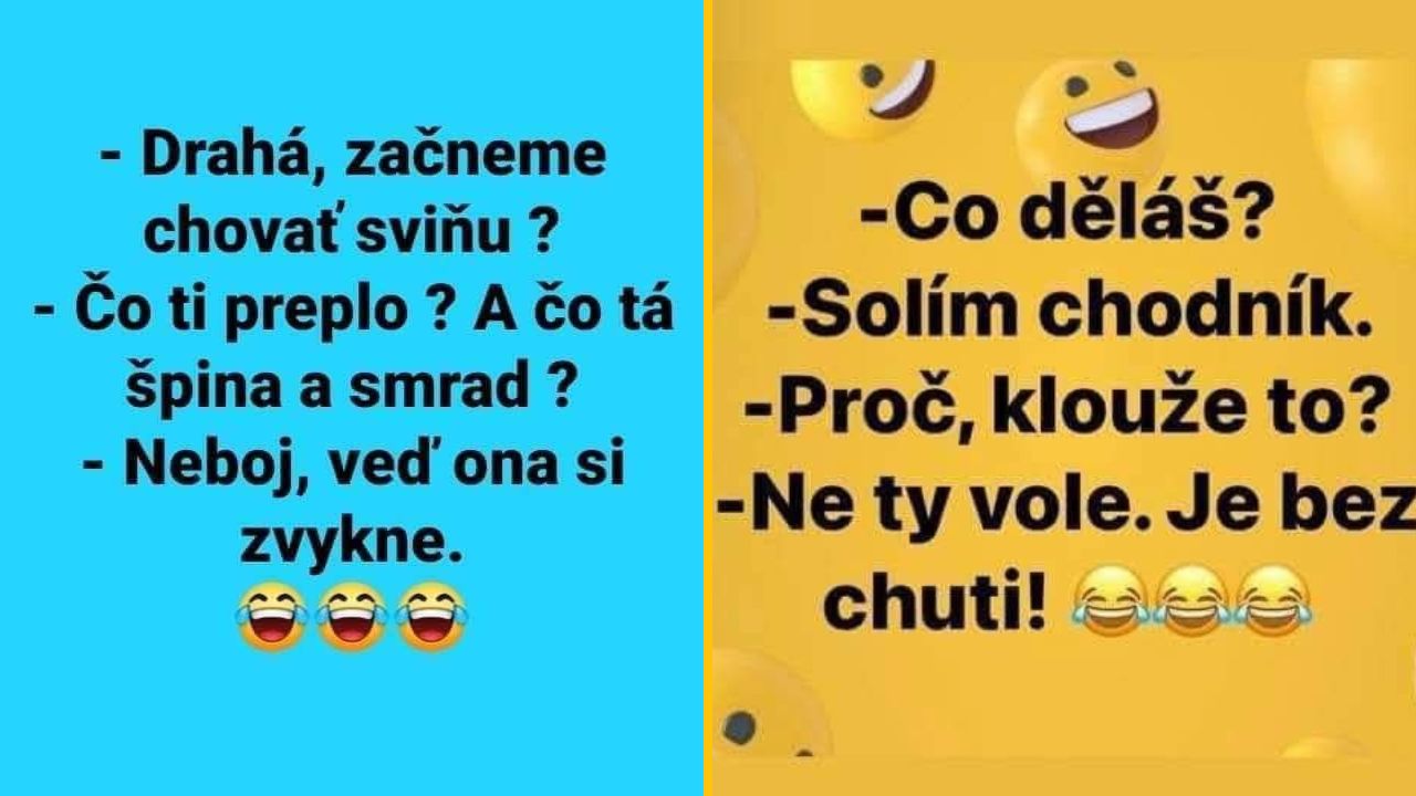 Vtipy o sviňách a solení chodníka s vtipnými odpoveďami a smajlíkmi.