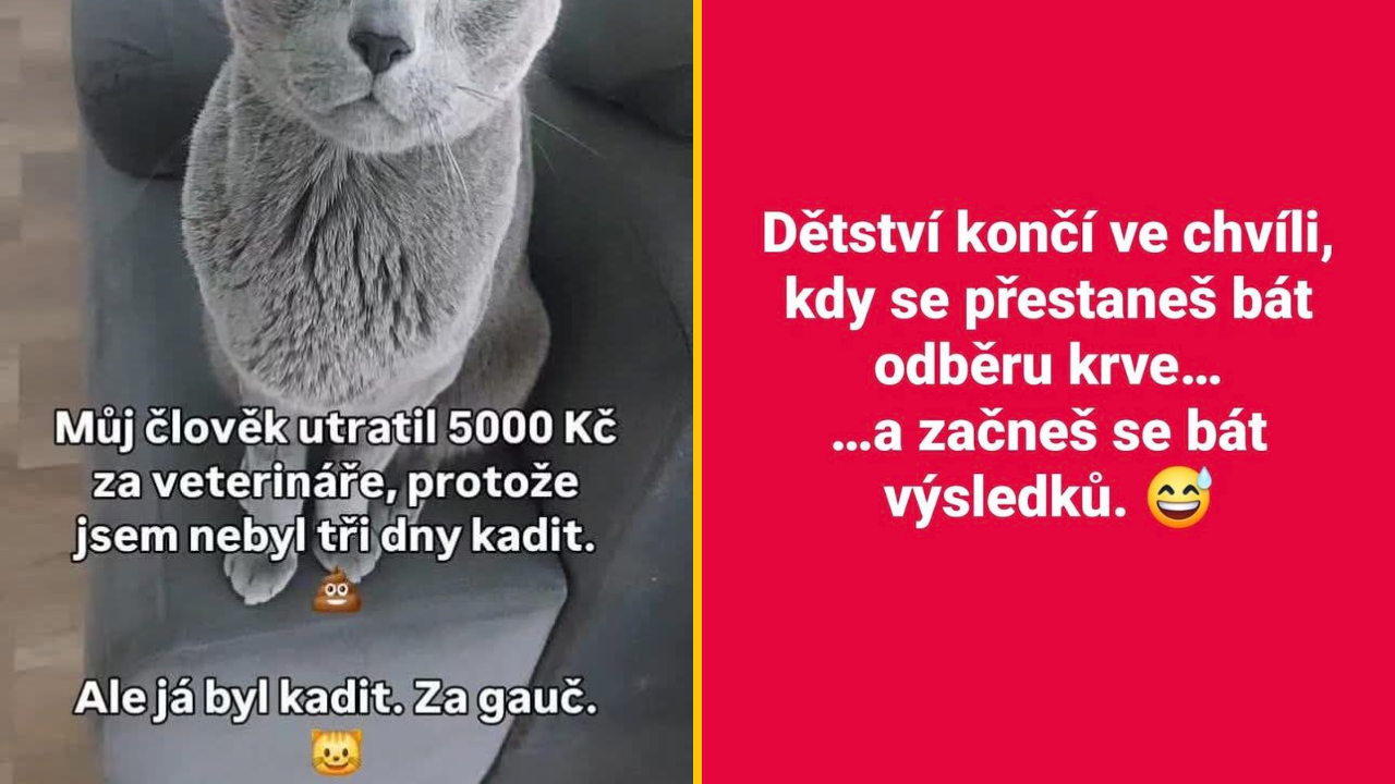 Vtipný obrázok: mačka a text o strachu z výsledkov, veselá ilustrácia každodenných starostí.