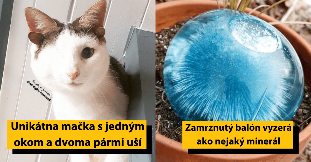Unikátna mačka s jedným okom a dvoma pármi uší; vedľa zamrznutý modrý balón pripomínajúci minerál.