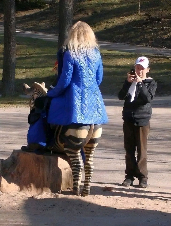 Osoba v modrom kabáte sediaca na drevenej soche zebry, fotografovaná dieťaťom v parku.