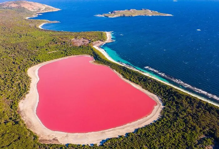 Ružové jazero obklopené lesmi, pri pobreží s tyrkysovým oceánom na prírodnej morskej hrane.