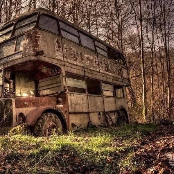 Opustený dvojposchodový autobus v lese, pokrytý hrdzou a obklopený holými stromami na jesennej lúke.