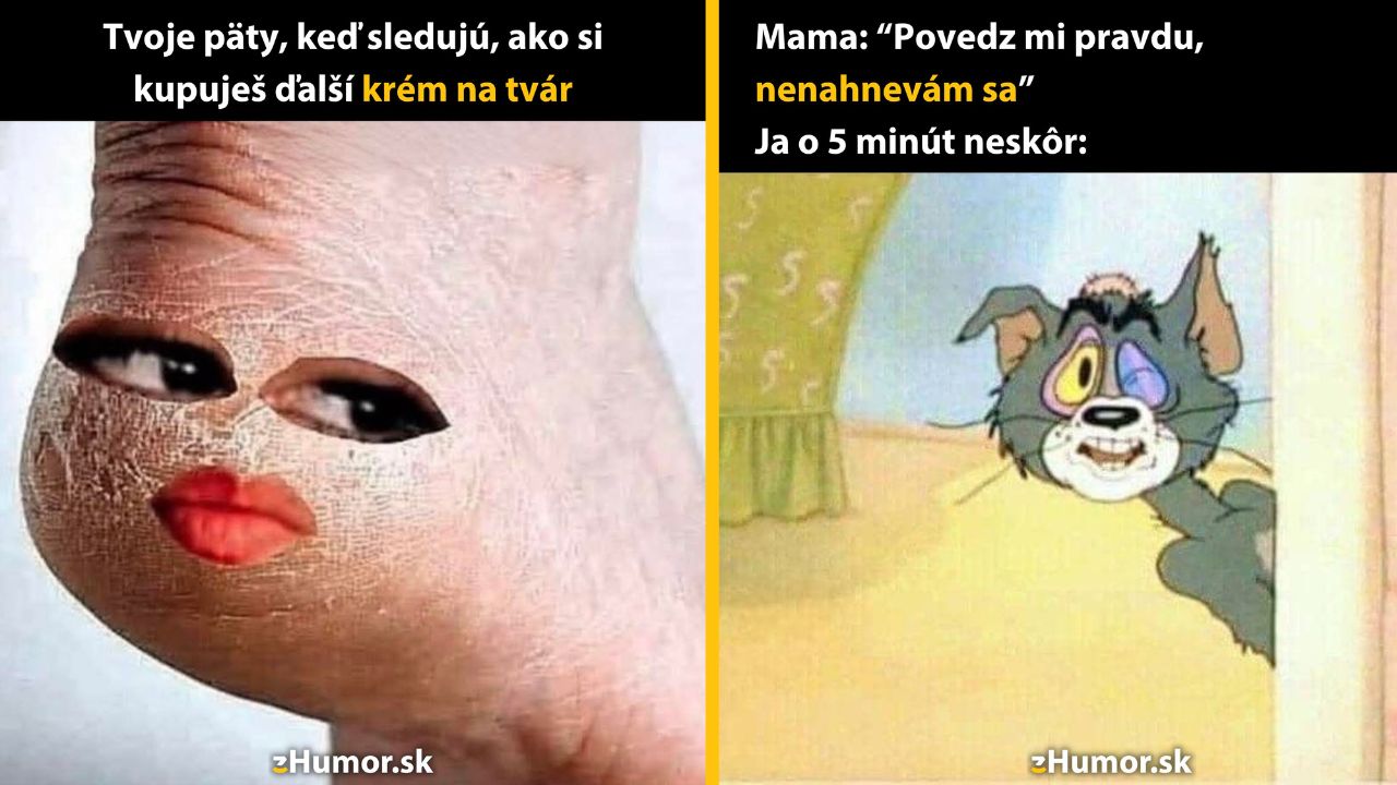 Suché päty s tvárou a vtipný kreslený meme s mačkou, reagujúci na matkinu otázku o pravde.