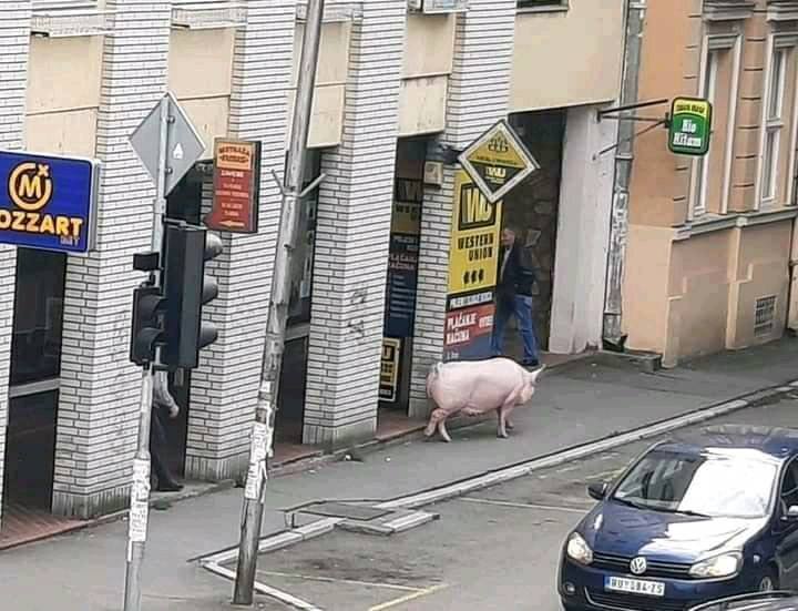 Prasa na chodníku pred obchodom v mestskej uličke, okolo idú autá a značenie na budovách.