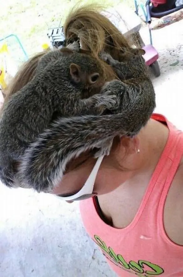 Osoba s dvoma veveričkami na hlave, ktoré si tam urobili pohodlie uprostred jasného dňa.