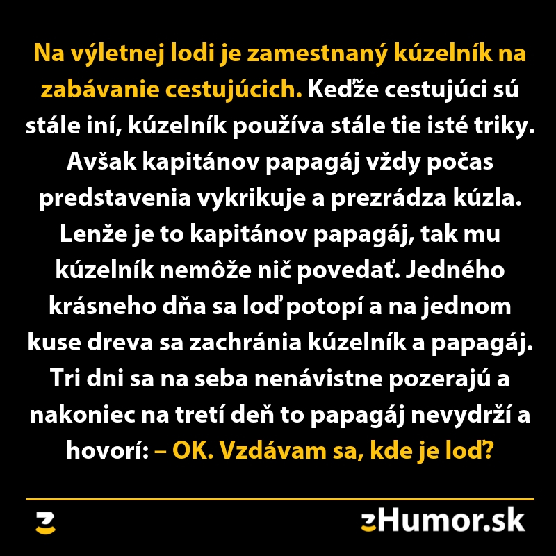 Kúzelník a papagáj na plti po potopení lode debatujú o miznúcej lodi. Vtipný moment s papagájom.