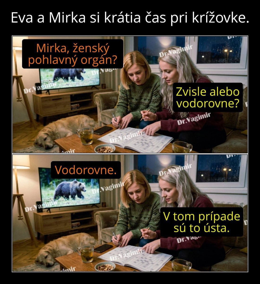 Ženy riešia krížovku, pri stole vidno psa, oriešky, nápoje. Televízia v pozadí zobrazuje medveďa.