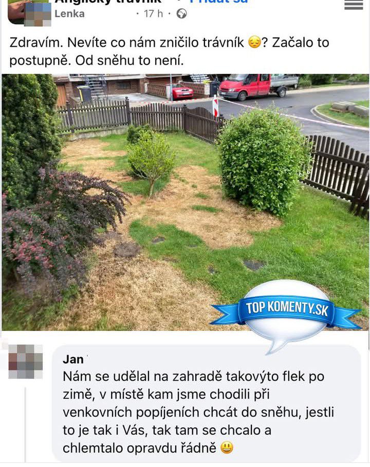 Spálený trávnik s hnedými škvrnami v záhrade, otázka príčiny poškodenia, okolité kríky a ploty, autá v pozadí.