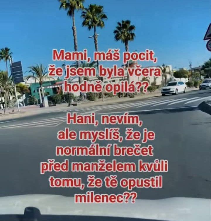 Cesta s palmami a vtipný text o alkohole a žiarlivosti v popredí.