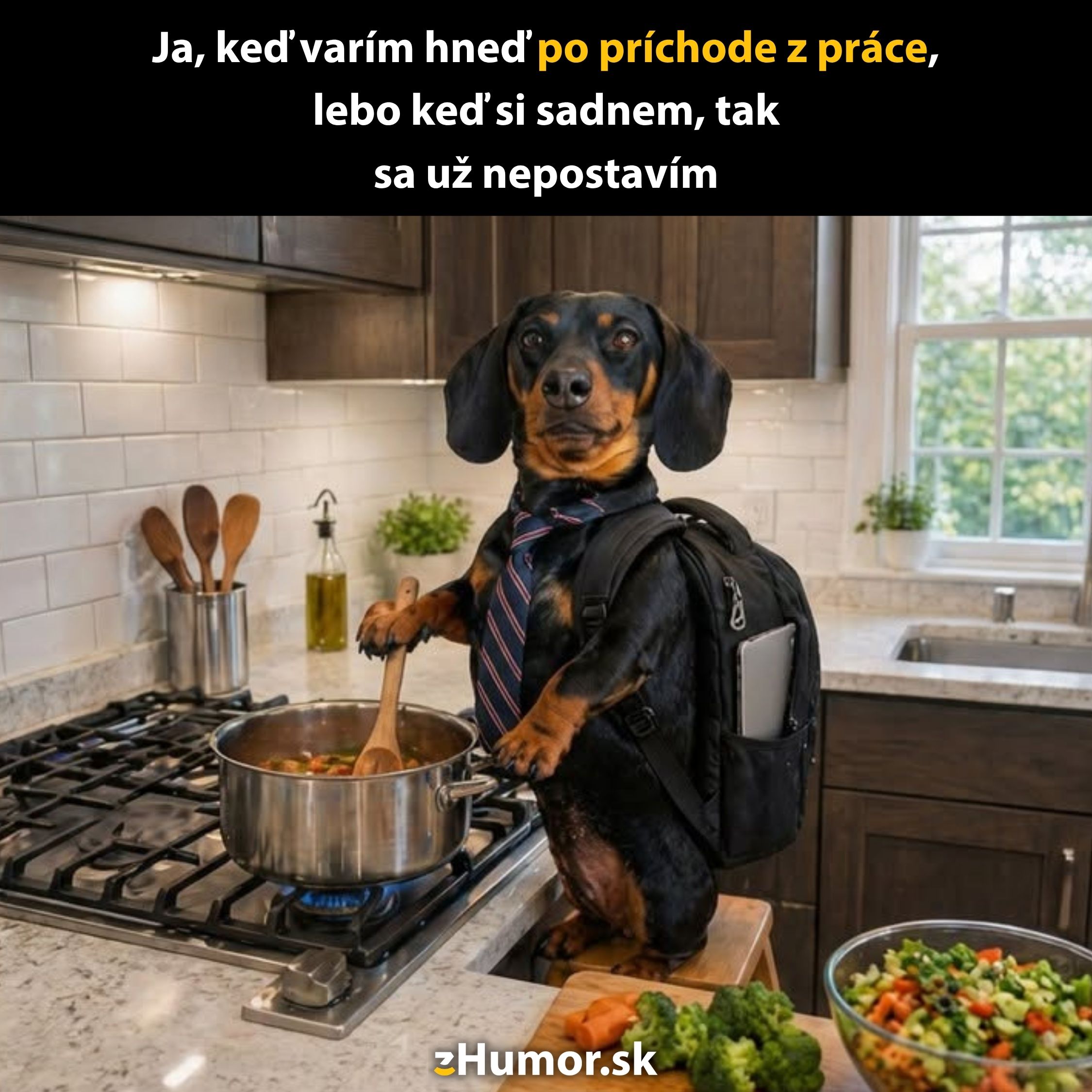 Jazvečík v kuchyni s kravatou varí na sporáku, nosí batoh, vedľa zelenina (vtipný moment).