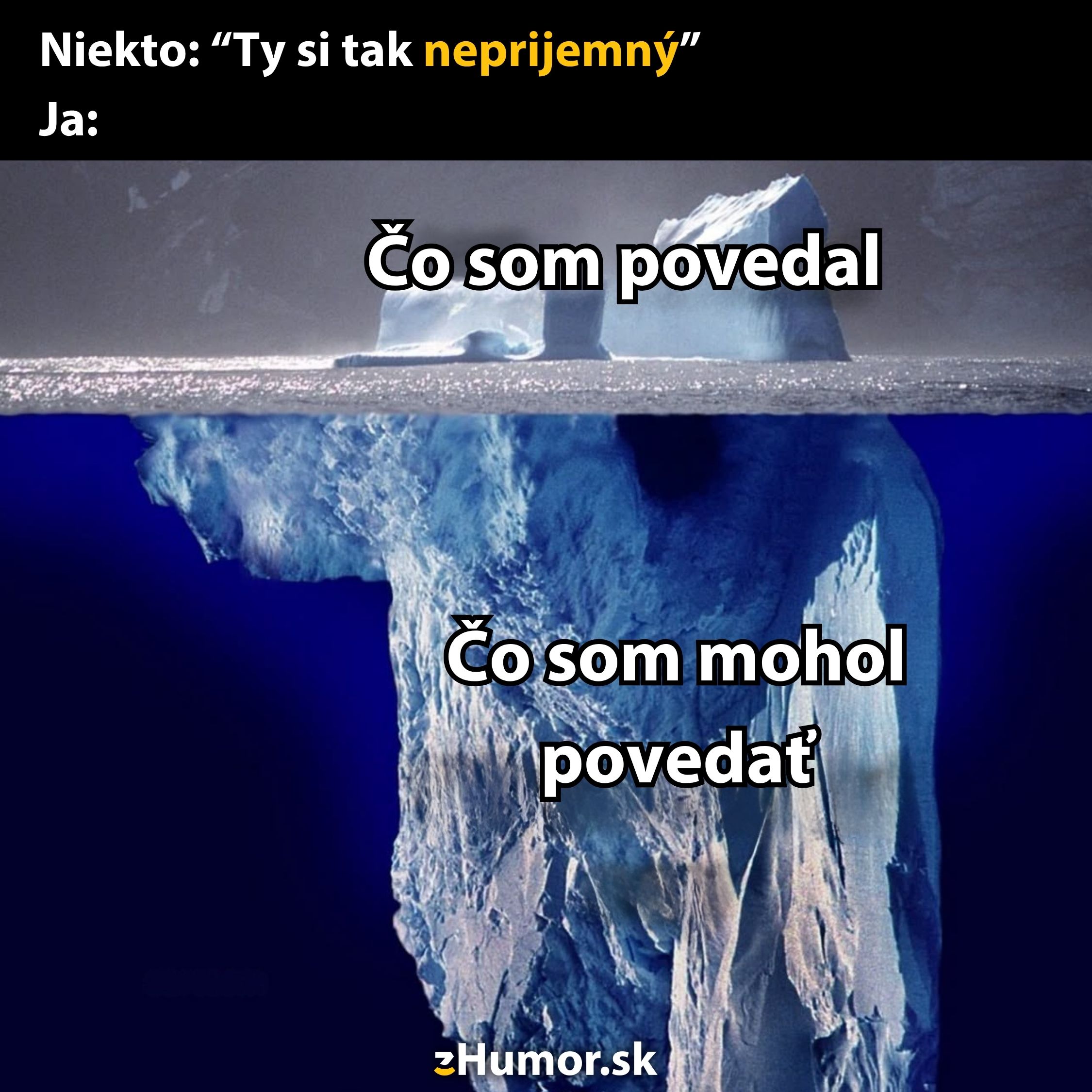 Ľadovec: povrch 'Čo som povedal' nad hladinou, pod hladinou 'Čo som mohol povedať'.