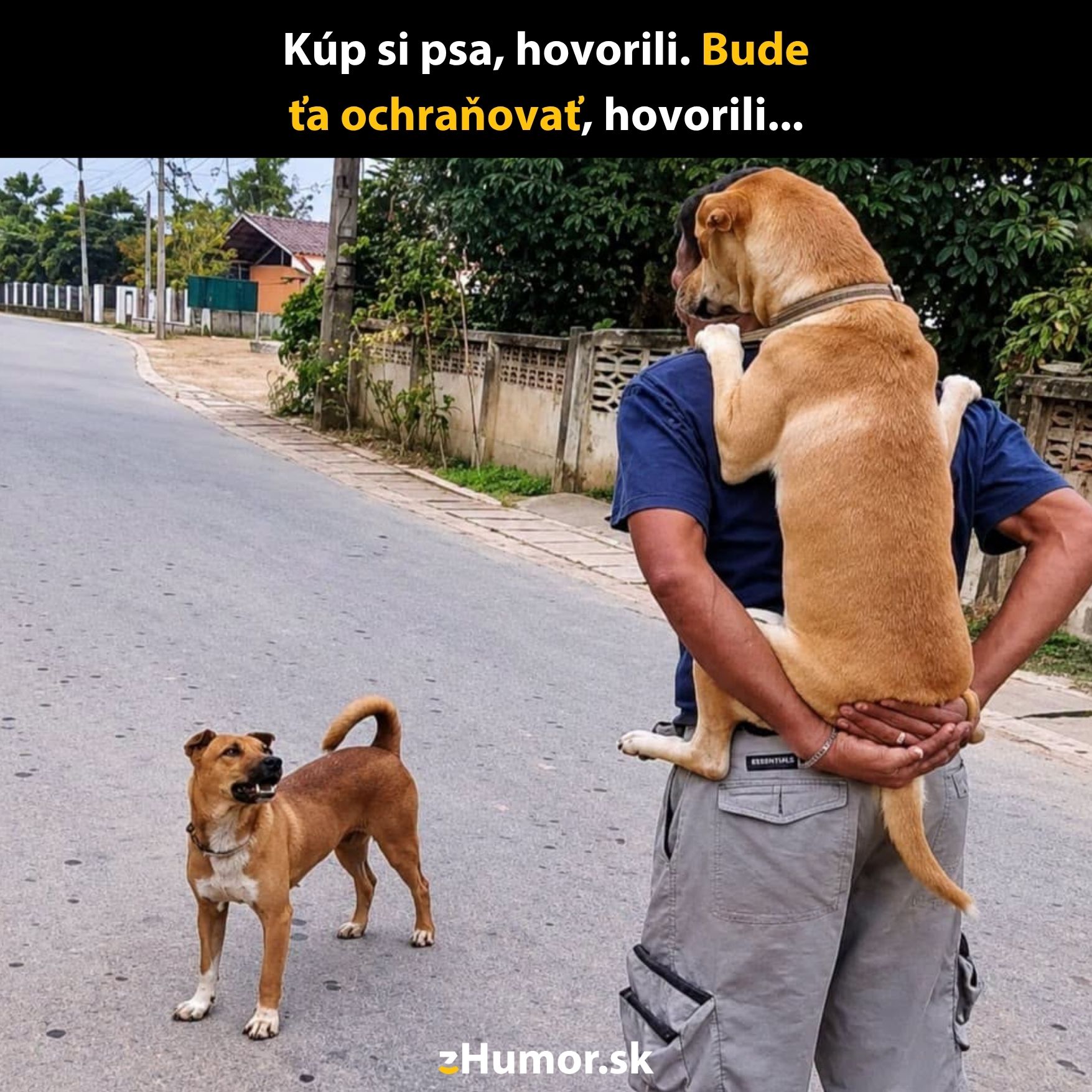 Muž nesie psa na rukách, zatiaľ čo iný pes stojí na ceste. Veselá scéna s humorom o ochrane.