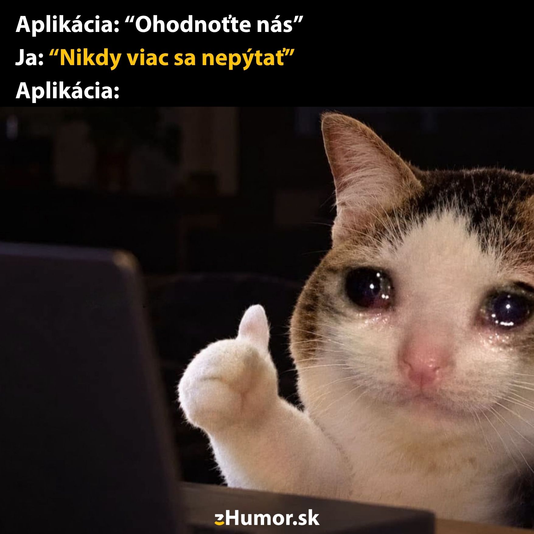 Smutná mačka dáva palec hore pri odpovedi na otázku aplikácie o hodnotení, s textom: „Nikdy viac sa nepýtať“.