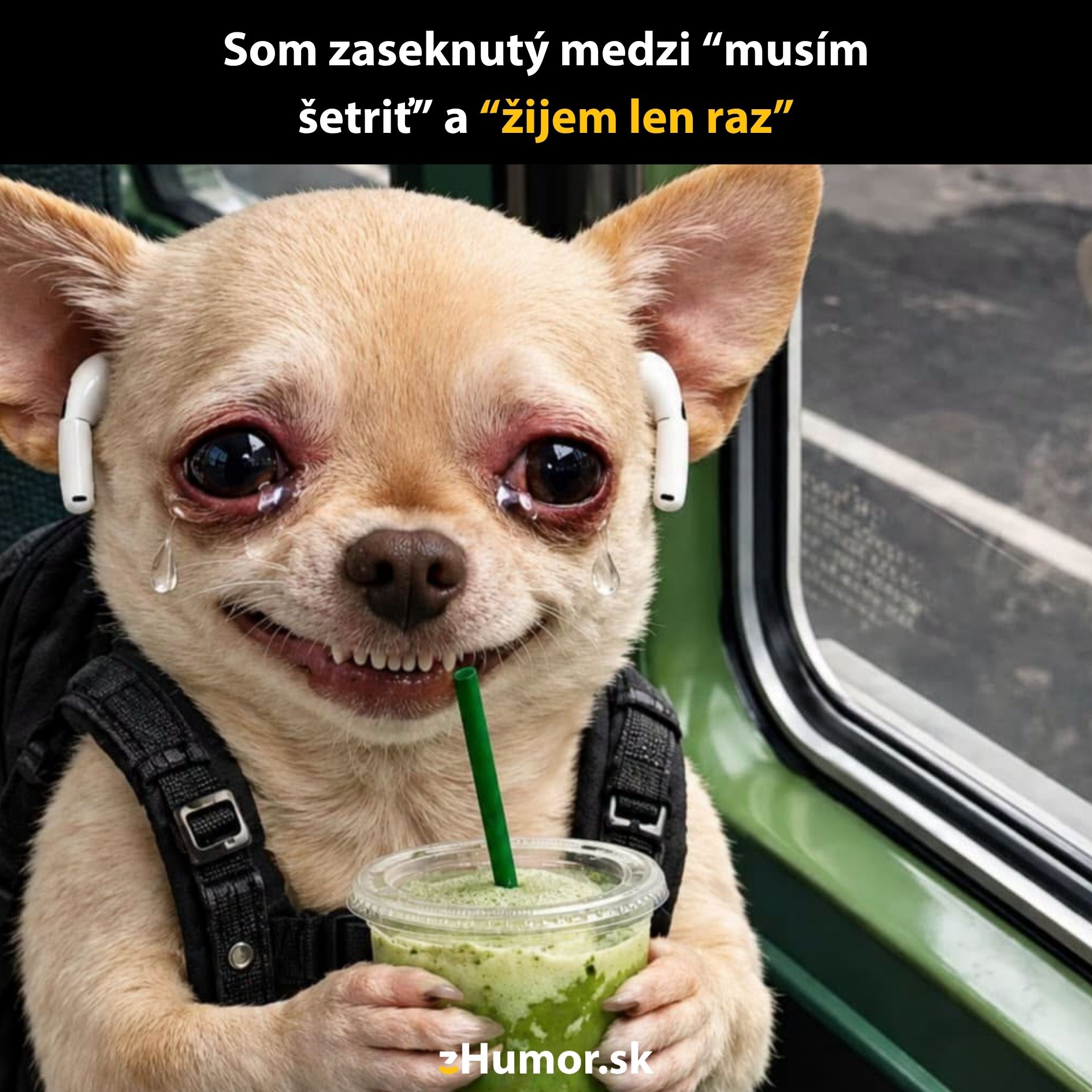 Pes s úsmevom a slzami, drží nápoj, symbolizuje dilemu medzi šetrením a užívaním si života.