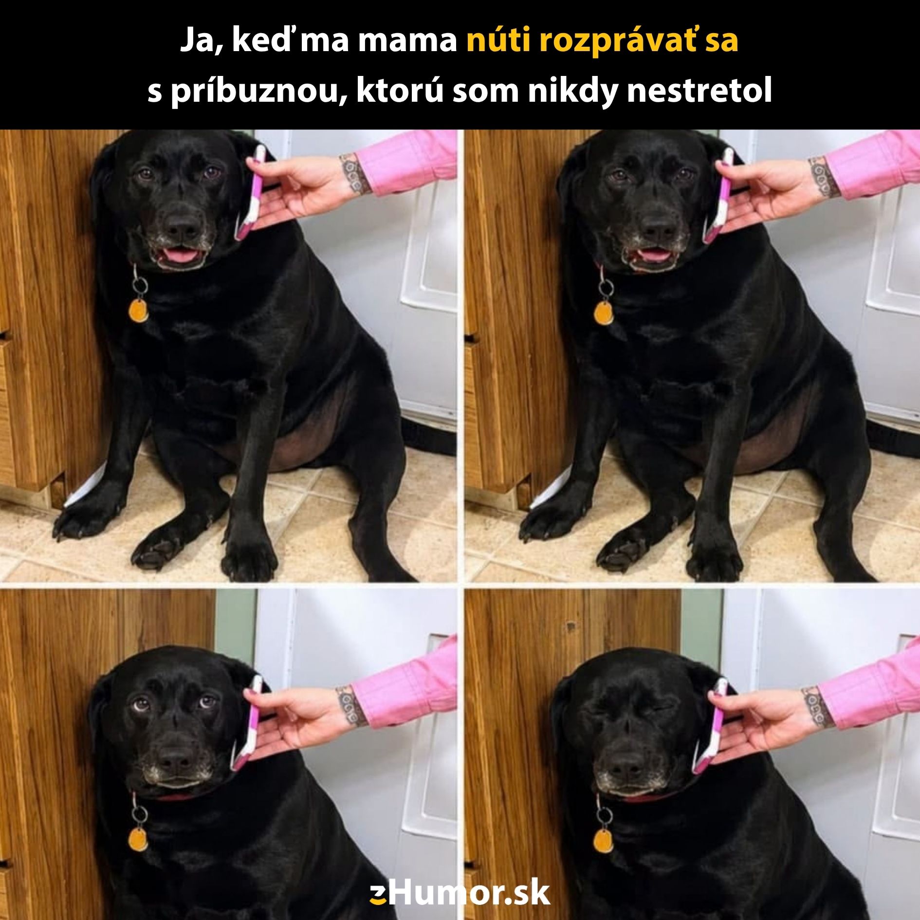 Čierny pes s telefónom pri uchu, s výrazom nechuti, sedí opretý o drevený kuchynský pult.