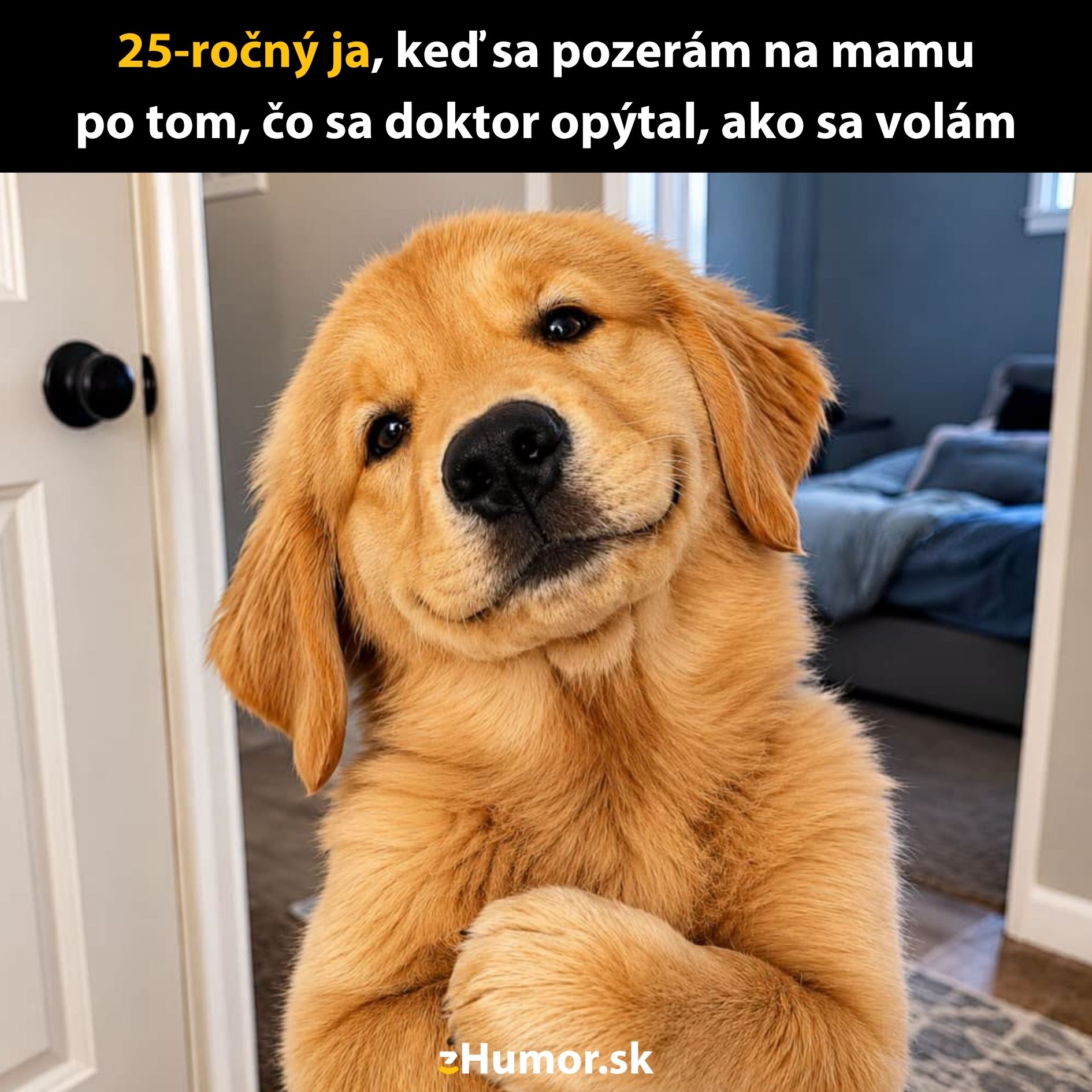 Zlatý retríver so sklonenou hlavou a usmievavým výrazom stojí pred otvorenými dverami v interiéri.