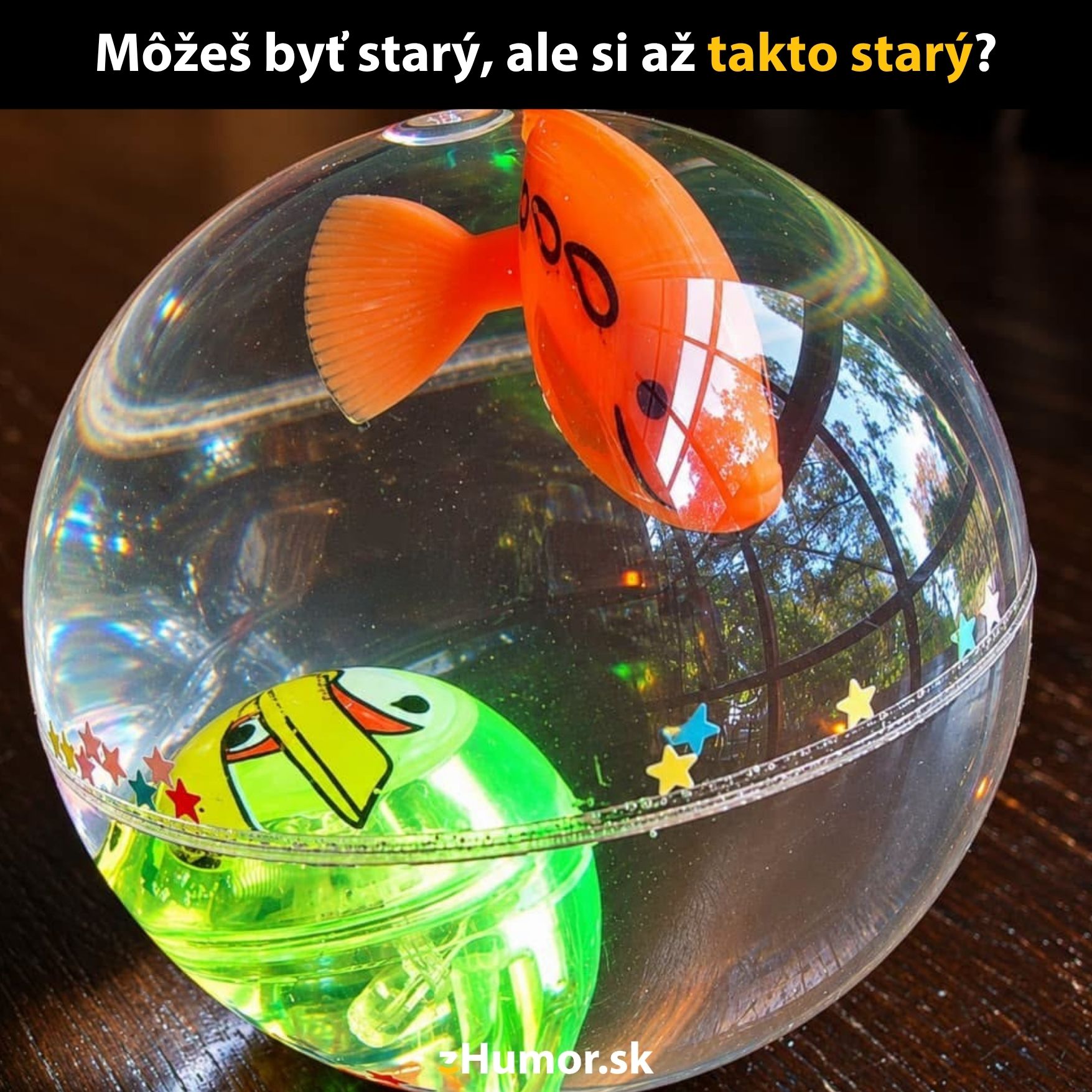 Retro hračka v tvare rybky plávajúcej v priehľadnom guľovitom obale na drevenom povrchu.