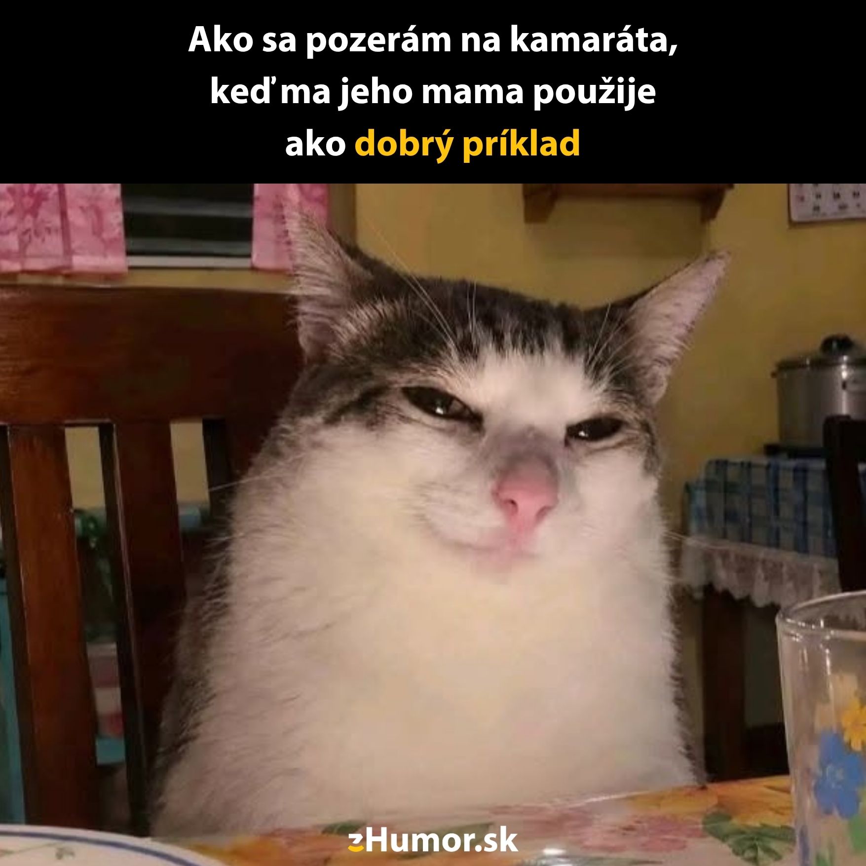 Mačka so spokojným výrazom pri stole, s nápisom: Ako sa pozerám na kamaráta, keď ma jeho mama použije ako dobrý príklad.