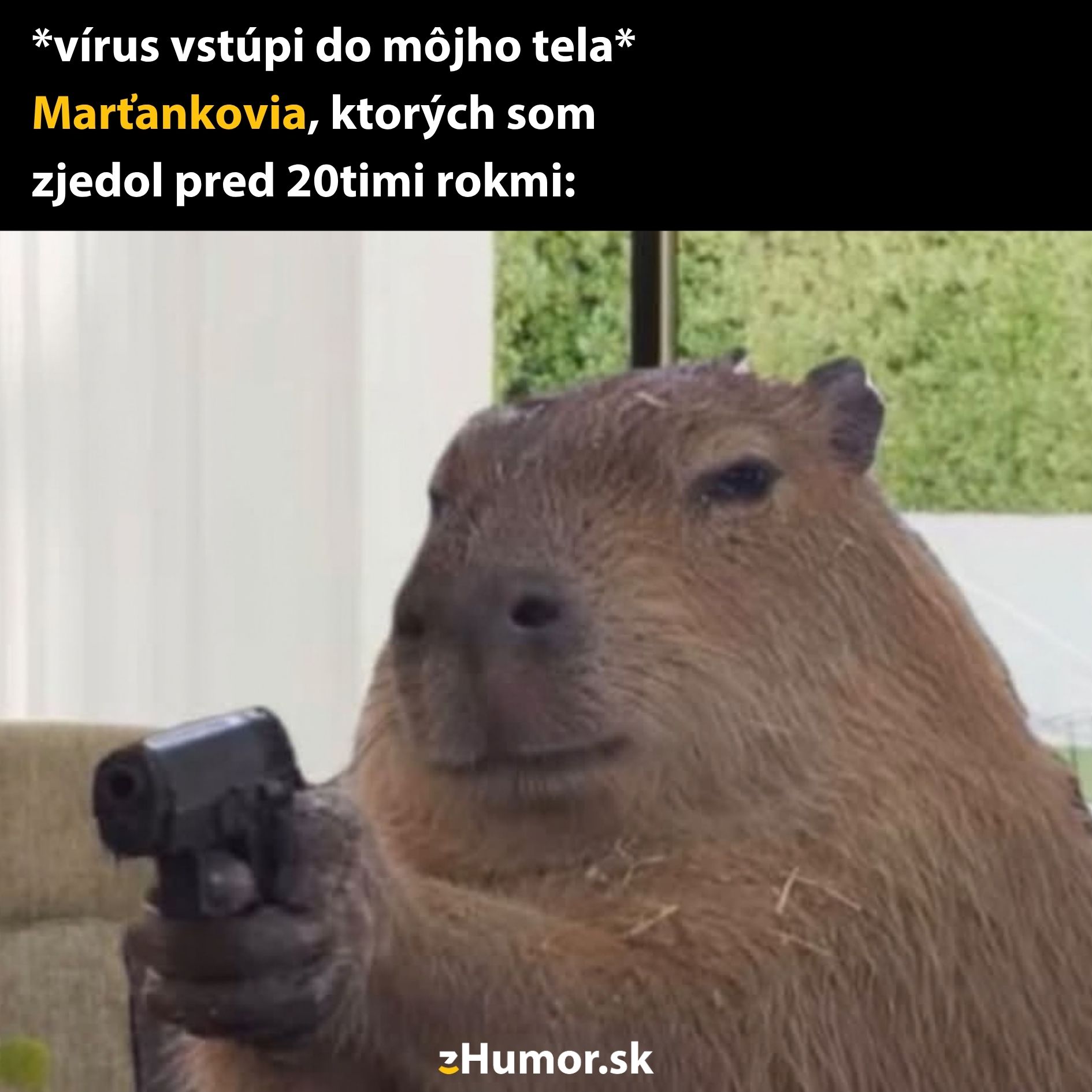 Kapibara drží pištoľ ako reakcia na vtip o vitamínových tabletkách Martánkovia.