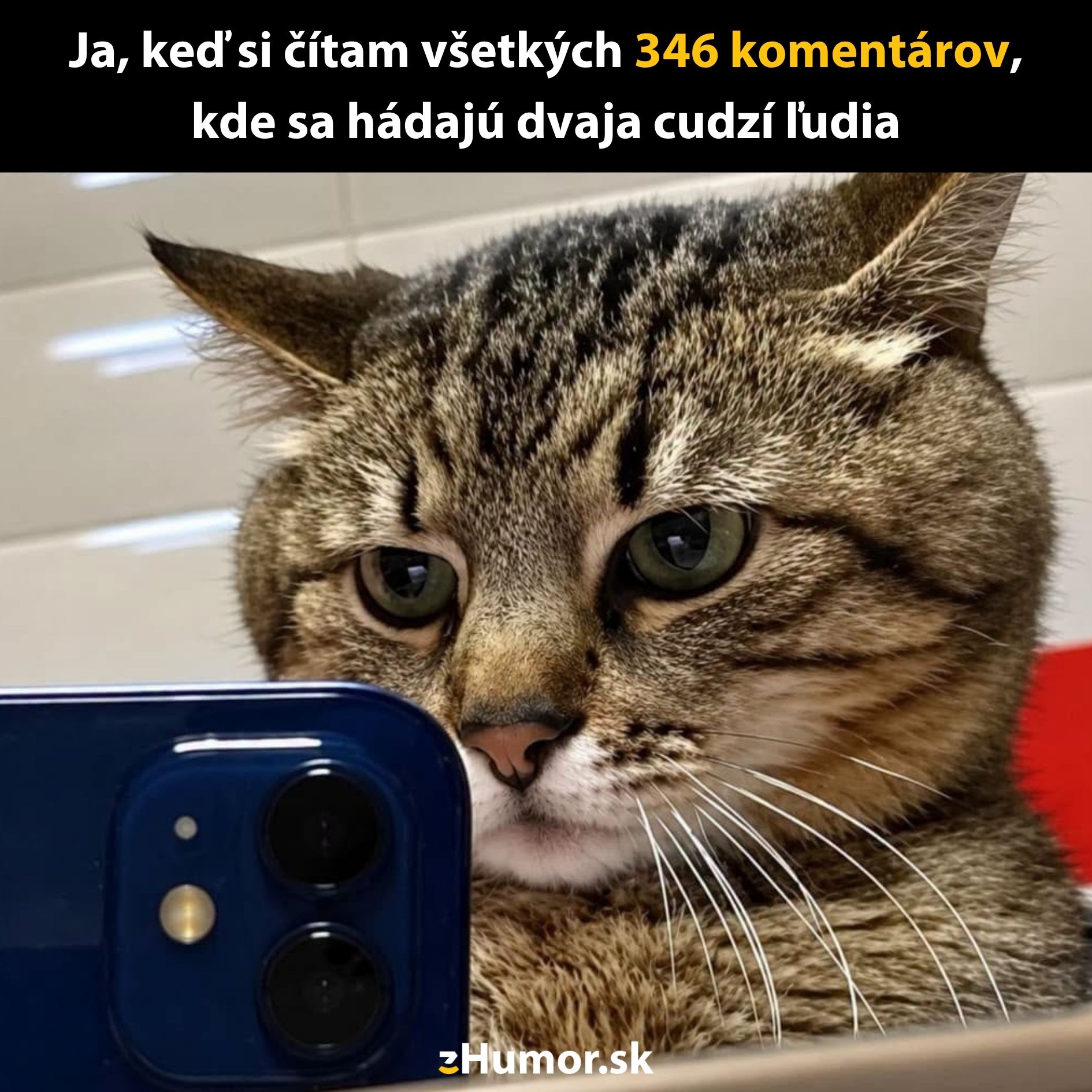 Mačka sa díva na telefón a sleduje online diskusiu.