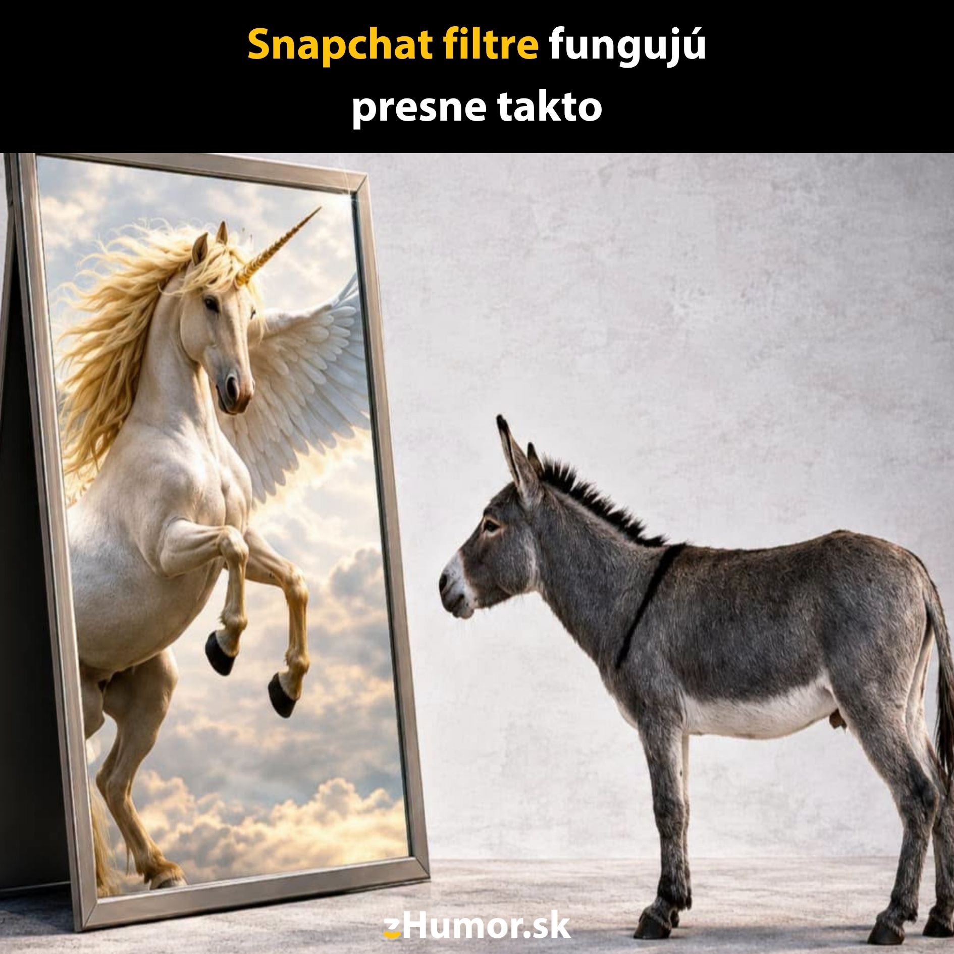 Oslík sa pozerá do zrkadla a vidí jednorožca. Text: Snapchat filtre fungujú presne takto. Humor.sk