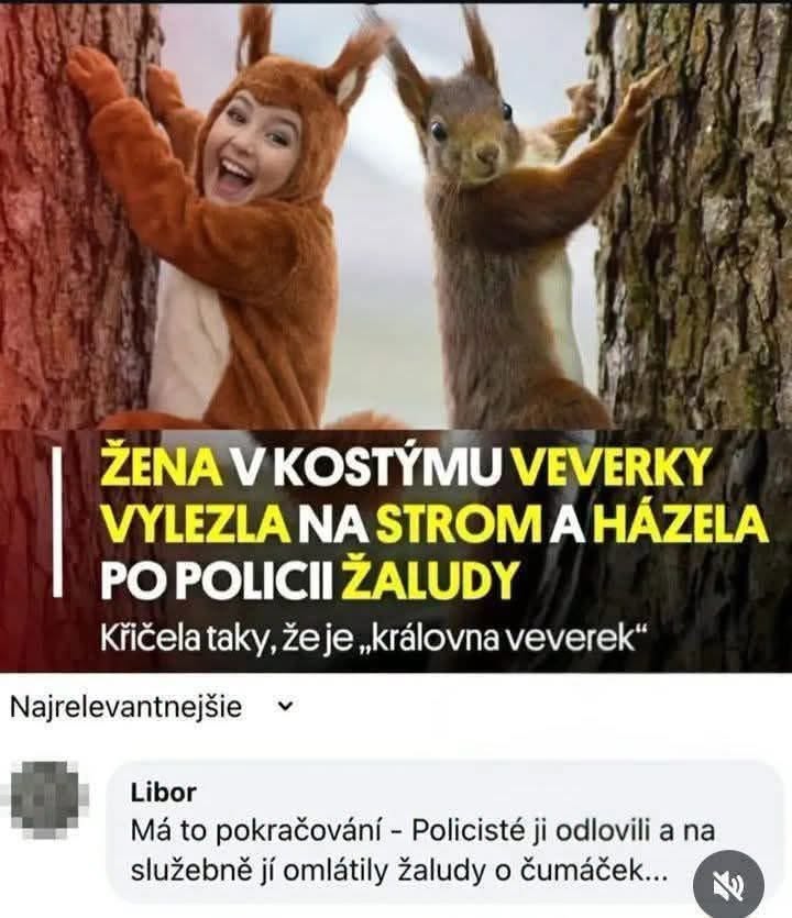 Žena v kostýme veveričky na strome hádže žaluďe na políciu, tvrdí že je „kráľovná veveričiek“.